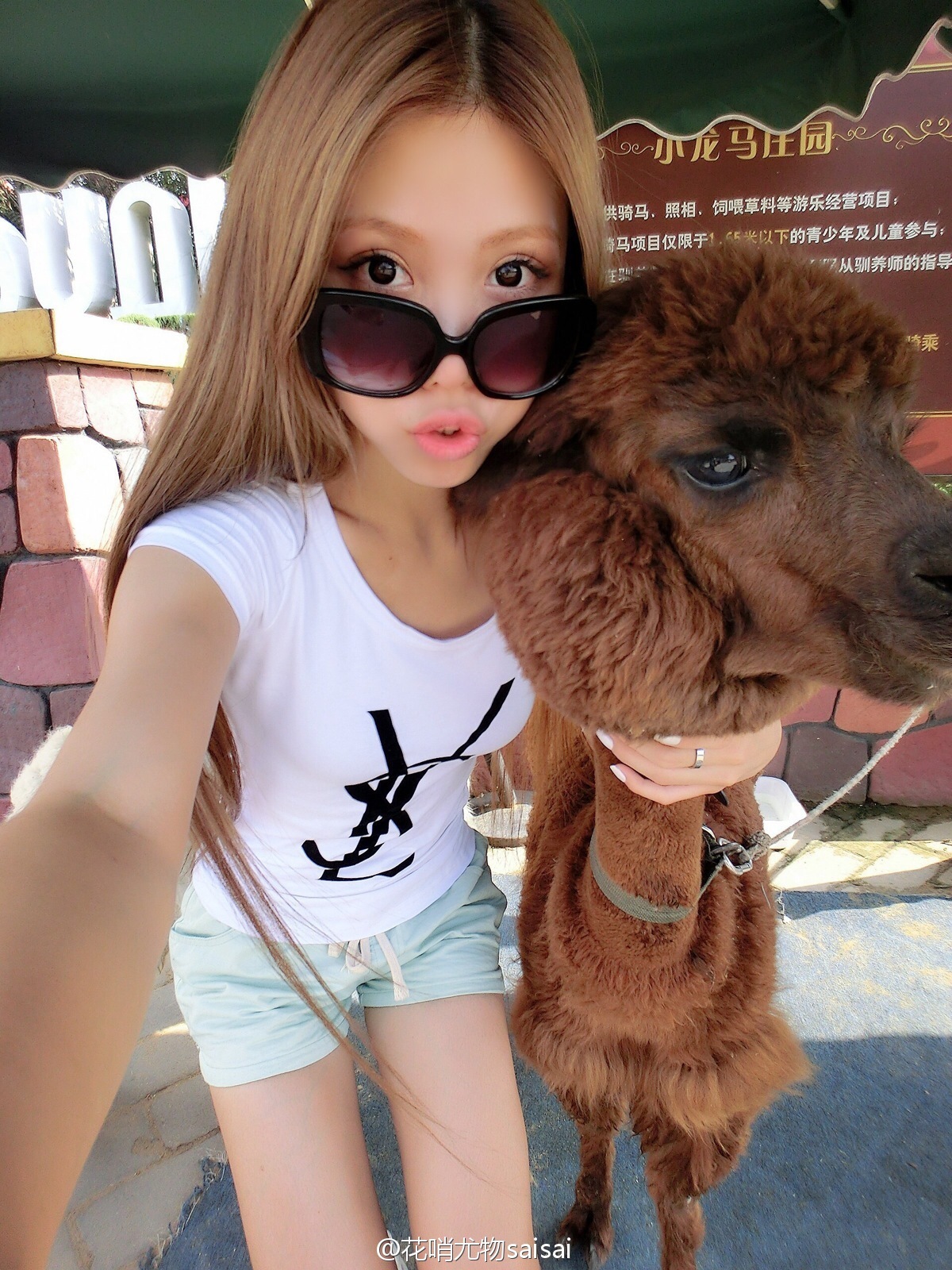 花哨尤物saisai的微博列表微女郎